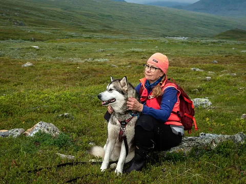 Hund med sin ägare ute i naturen